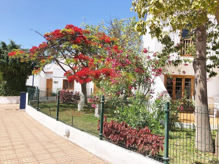 Apartamento Lucia Garden City Con Piscina Climatizada Playa Feñabe Exteriör bild