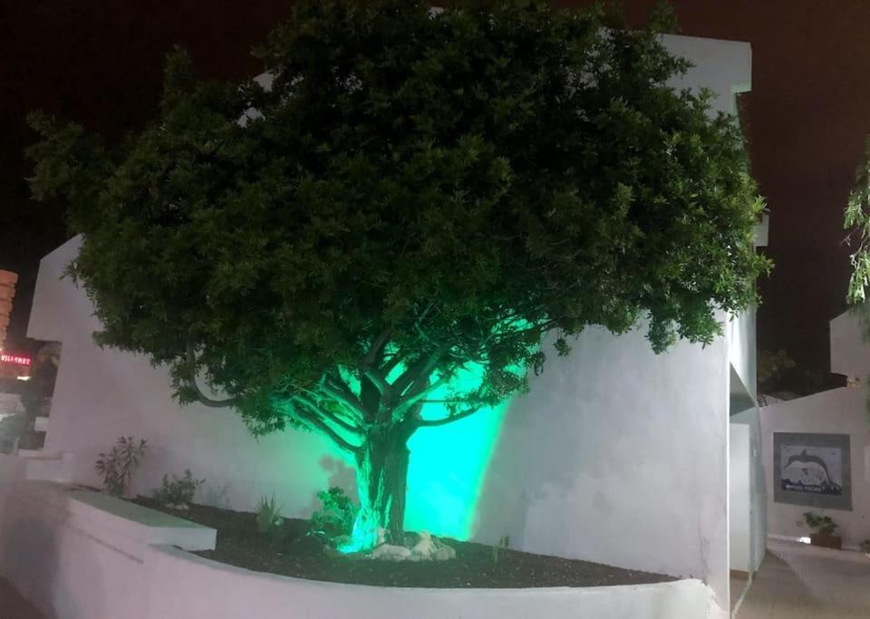 Apartamento Lucia Garden City Con Piscina Climatizada Playa Feñabe Exteriör bild