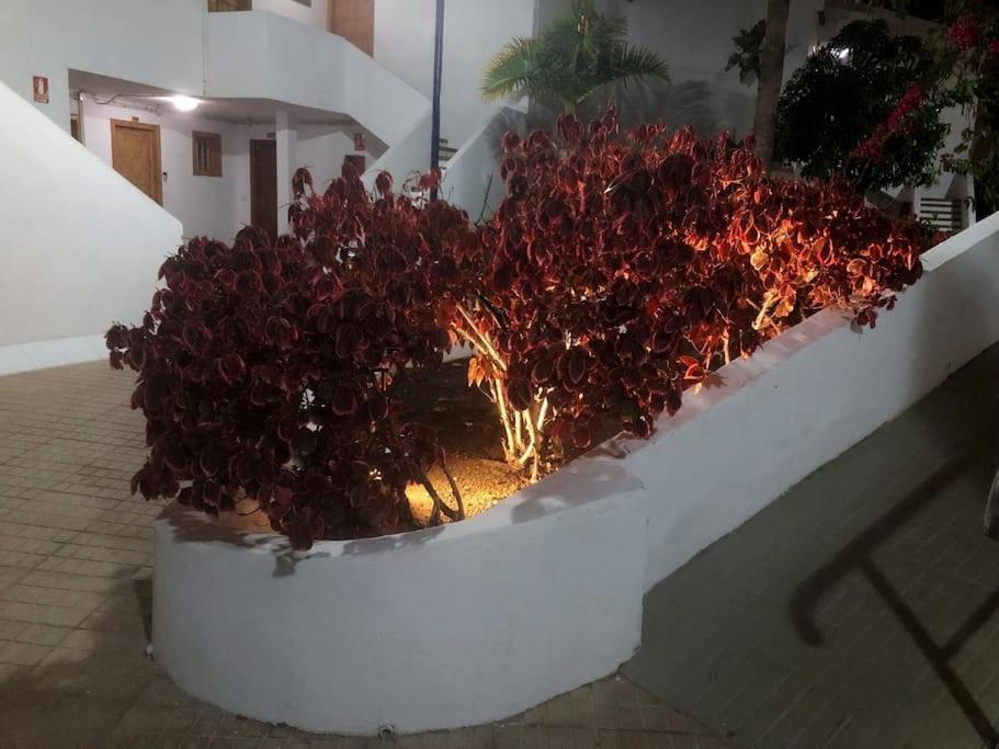 Apartamento Lucia Garden City Con Piscina Climatizada Playa Feñabe Exteriör bild