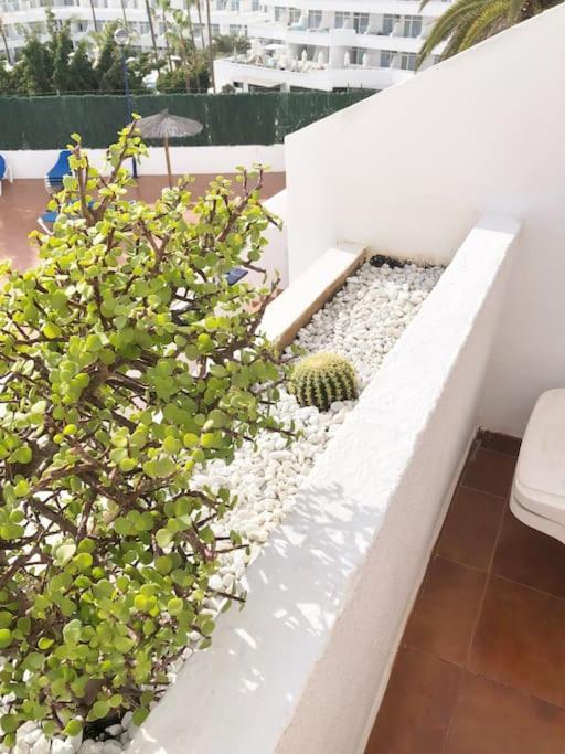 Apartamento Lucia Garden City Con Piscina Climatizada Playa Feñabe Exteriör bild
