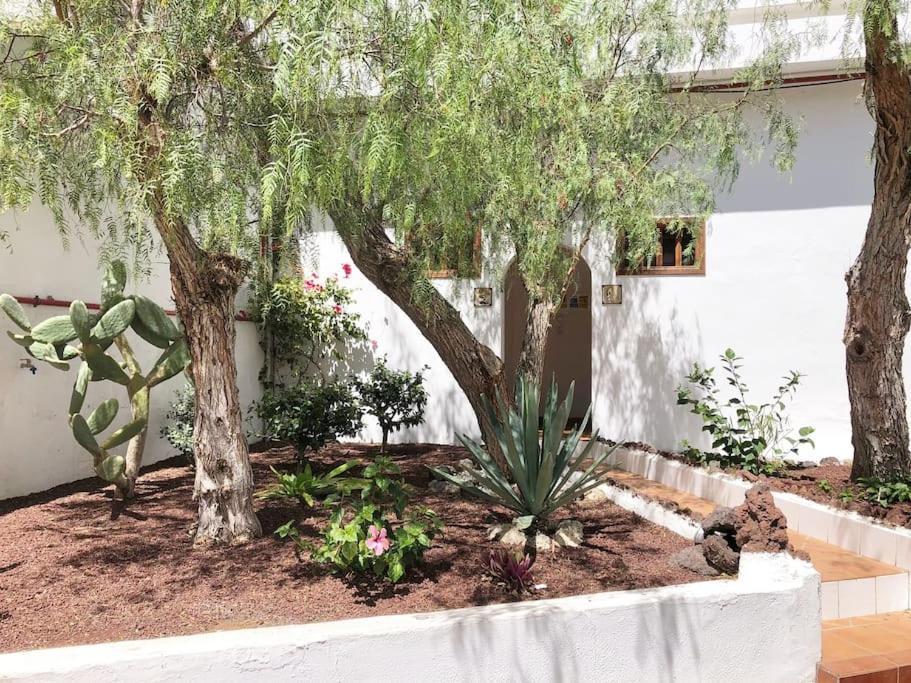 Apartamento Lucia Garden City Con Piscina Climatizada Playa Feñabe Exteriör bild