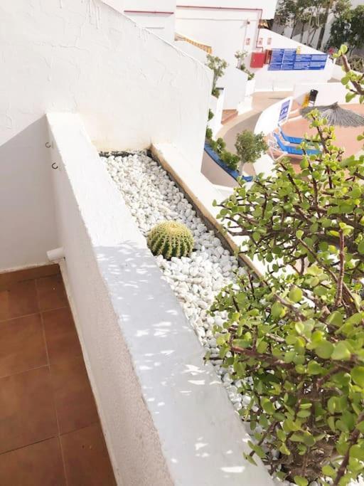 Apartamento Lucia Garden City Con Piscina Climatizada Playa Feñabe Exteriör bild
