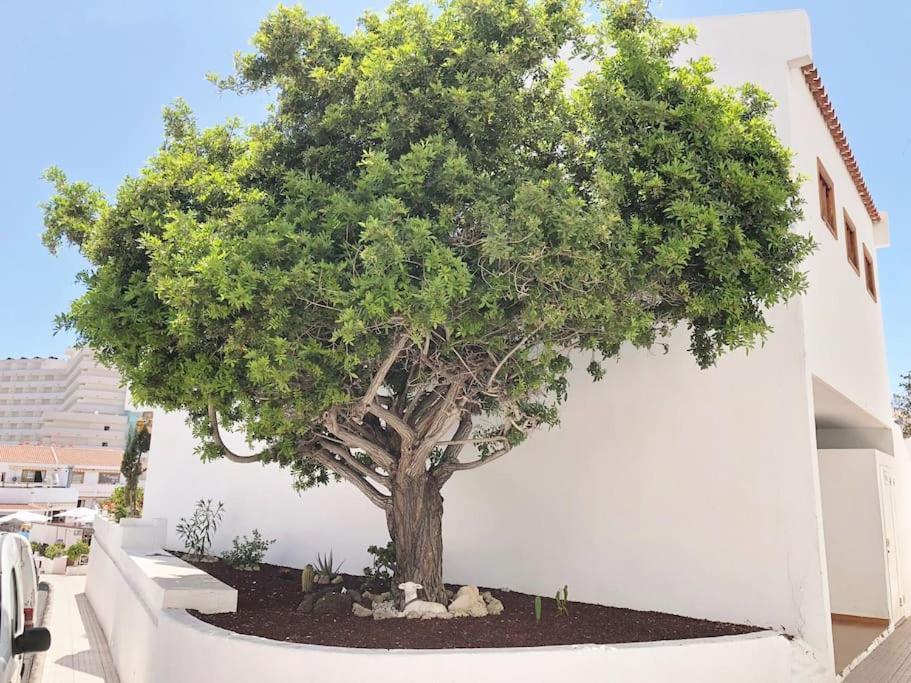 Apartamento Lucia Garden City Con Piscina Climatizada Playa Feñabe Exteriör bild